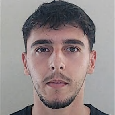 Rui Pedro Gonçalves Gomes