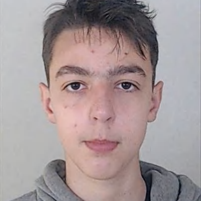 Gonçalo Gomes Araújo