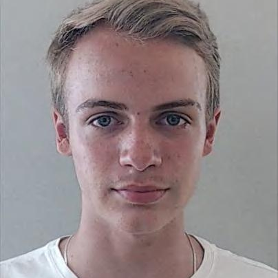 Otávio Berezuk Silva