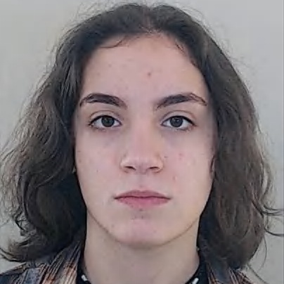 ANA CAROLINA BANDEIRA RODRIGUES