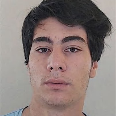 Pedro Manuel Torres Lopes