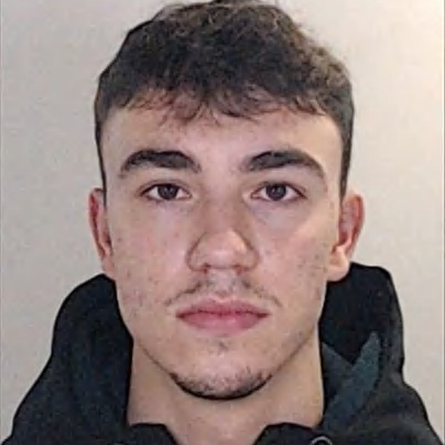 Daniel José Silva Furtado