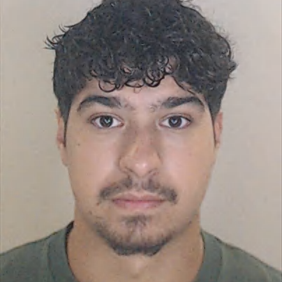 Francisco Miguel Gomes Mendes