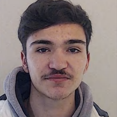 Daniel Vilas Boas Esteves