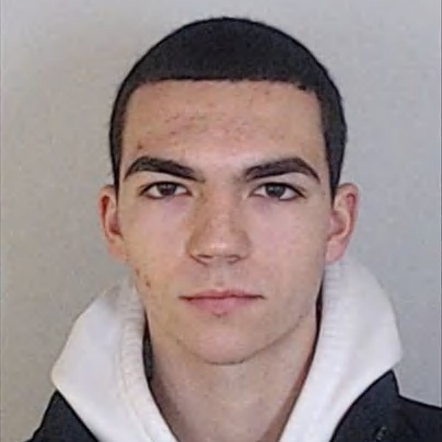 Gonçalo Varzim Araújo