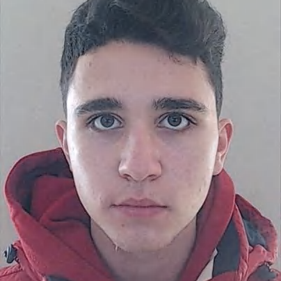Alexandre Miguel Rodrigues Martins