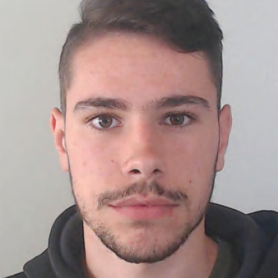 Vasco Luís