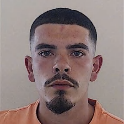 Pedro Miguel Campos Furtado