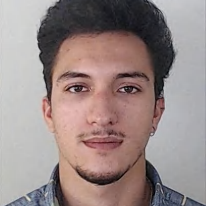 Ricardo Miguel Sendim