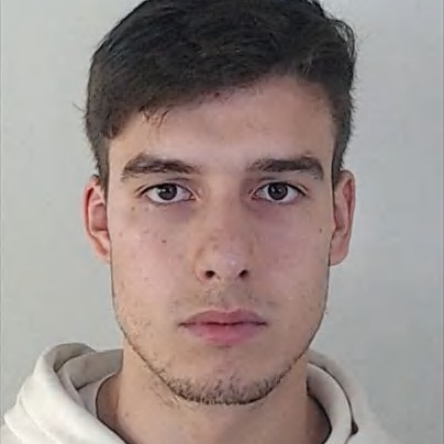 Nélson José Freitas Campos