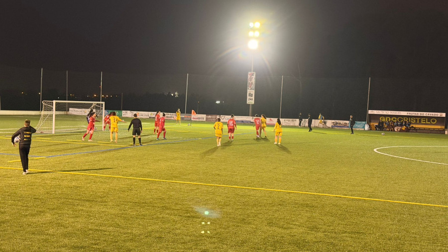 Cristelo feminino 2026